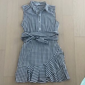 Express Gingham dress